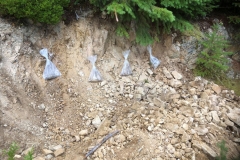 242212315_279602307329153_8585447764737176901_n