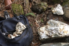 60896273_2144279625692326_6681073193752461312_n