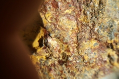 64296450_484880768921556_7832080487270055936_n