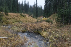 Upper Mculloch Creek